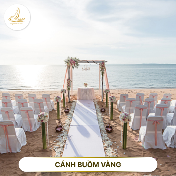 Có Nên Đám Cưới Trên Bãi Biển Phan Thiết