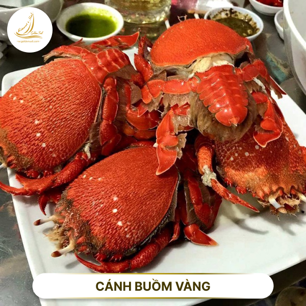 Đặc sản cua Huỳnh đế hấp tươi sống tại nhà hàng Hải sản Cánh Buồm Vàng