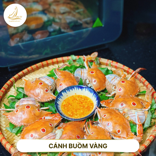 Đặt lịch nhà hàng hải sản Cánh Buồm Vàng mũi né thưởng thức ẩm thực siêu ngon cùng view siêu chill
