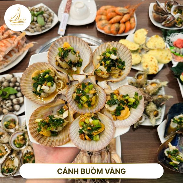 Đặt lịch nhà hàng hải sản Cánh Buồm Vàng mũi né thưởng thức ẩm thực siêu ngon cùng view siêu chill