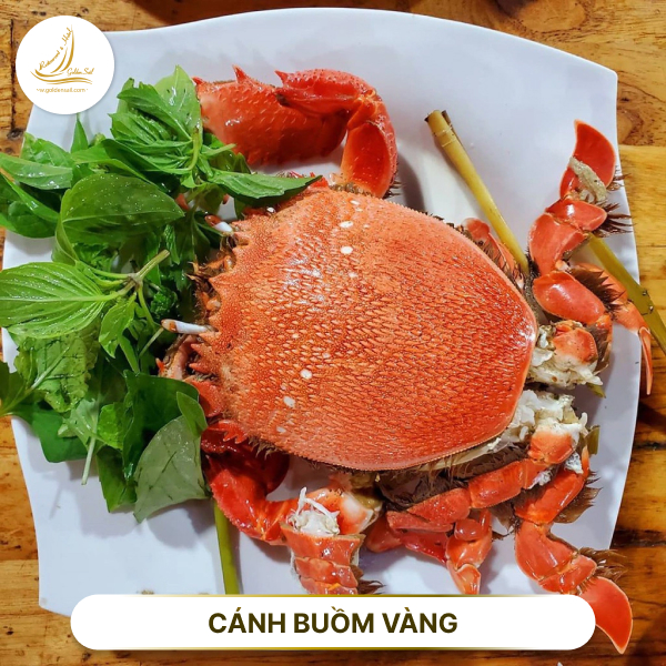 Khám phá 10 món hải sản đặc trưng tại Phan Thiết