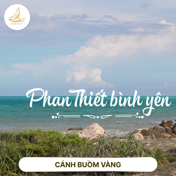 https://goldensail.com.vn/mui-ne-co-gi-choi-lich-trinh-3-ngay-2-dem-healing-tai-mui-ne